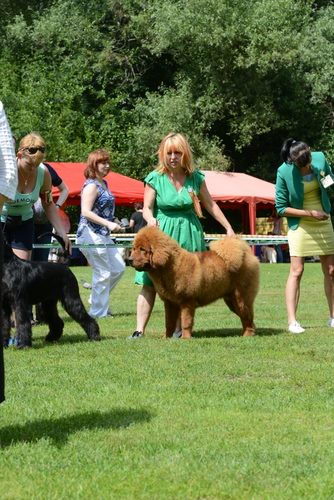 11707822 859076687462398 7319249969593544481 n