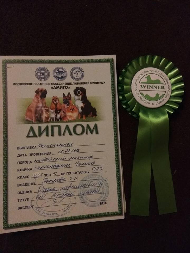 14322278 1434116443284757 7375085304652771277 n