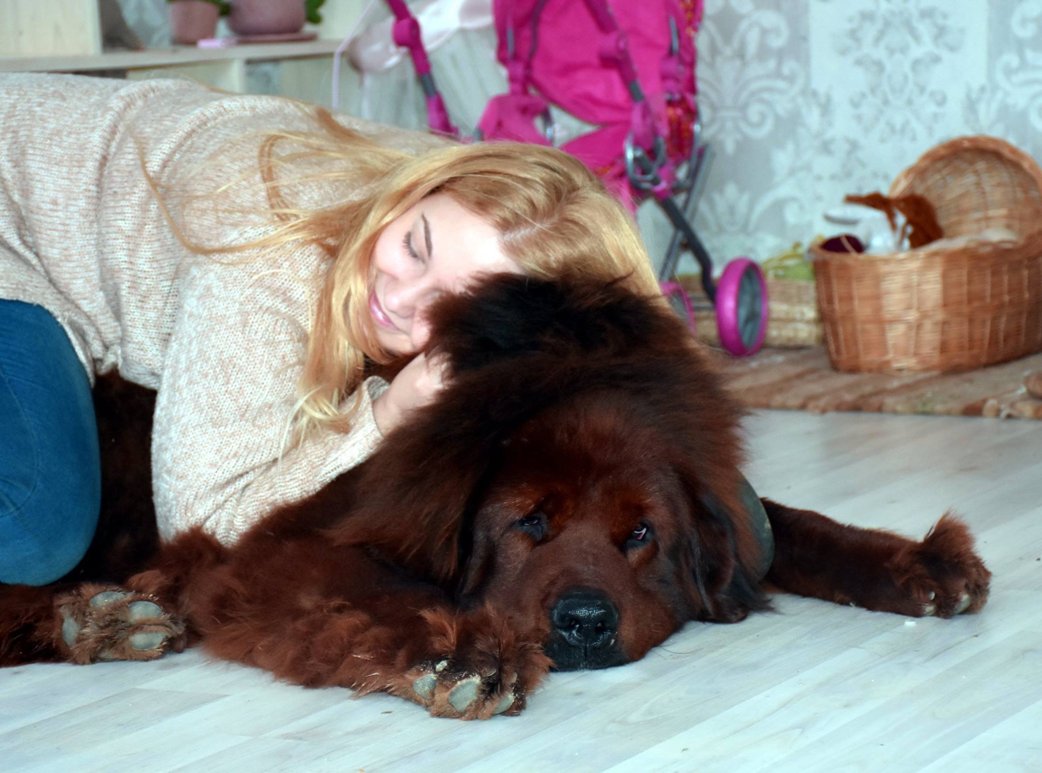 23511325 1901226983240365 7472480601367022530 o