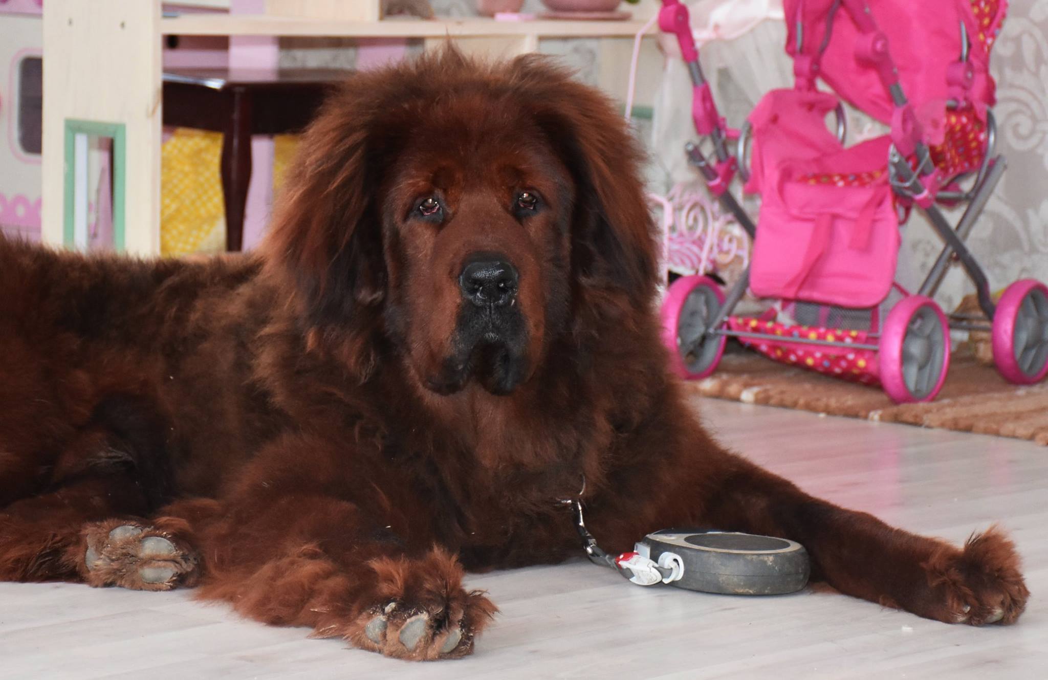 23511391 1901227433240320 8259183918033466762 o