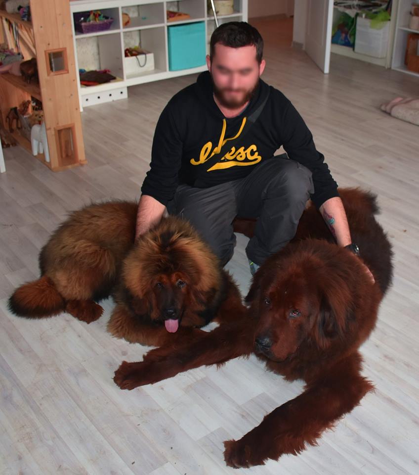 23621189 1901227439906986 6094356327440147512 n