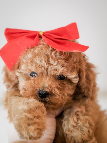 image 03 04 23 07 47 10