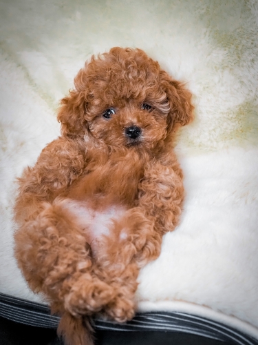 image 03 04 23 07 47 11