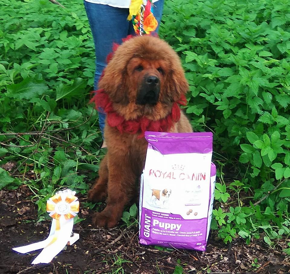 18698071 1722112317818500 1637667935068657897 n