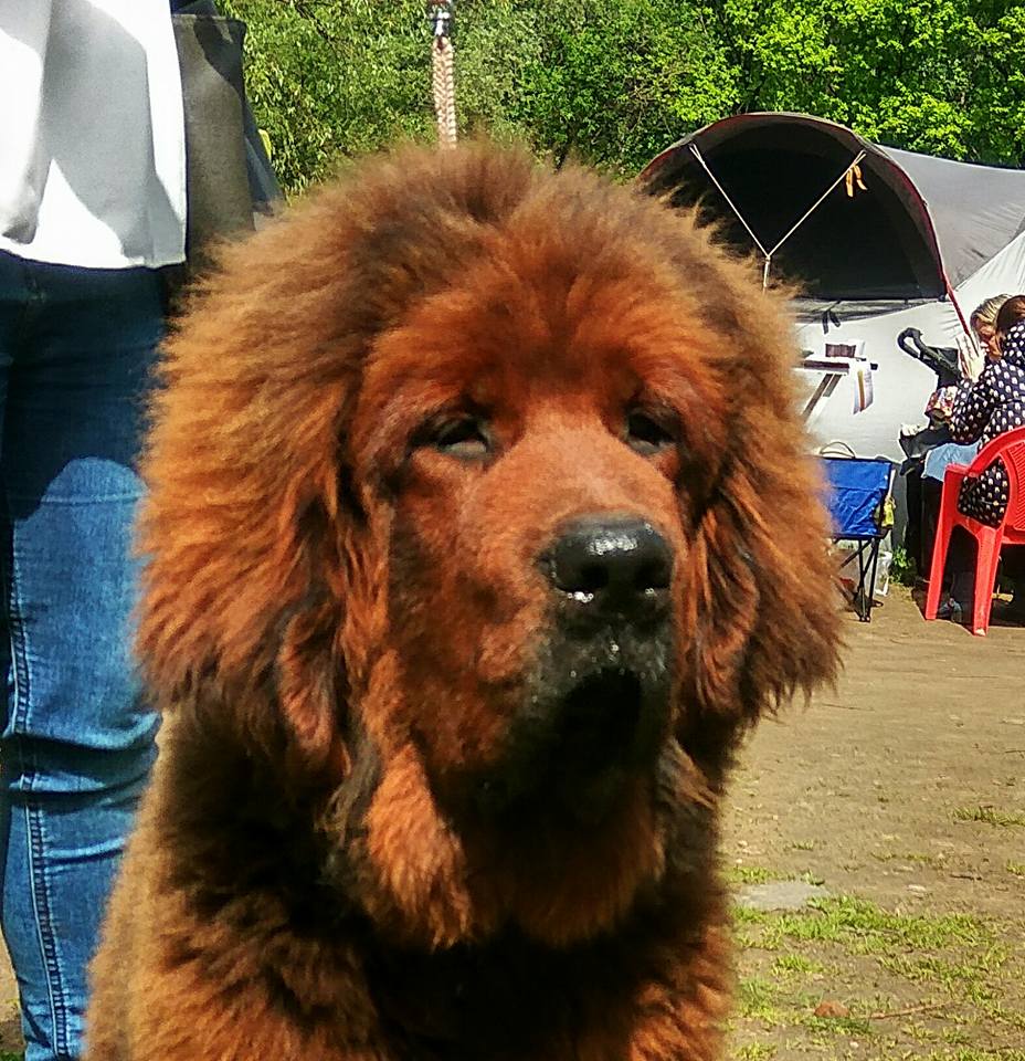 18740304 1724328814263517 5505028786136085752 n