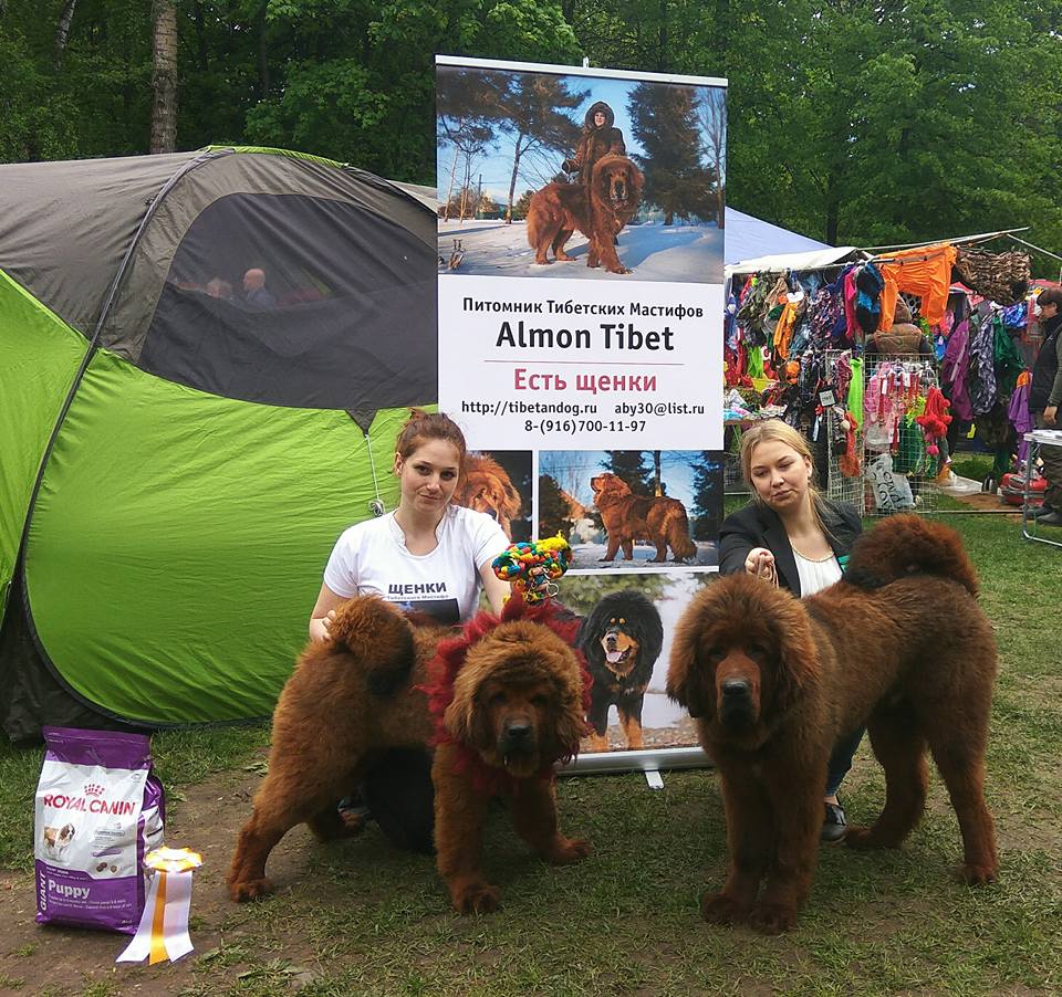 18767731 1722112414485157 1830077794658831220 n