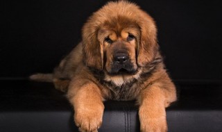 Поздравляем выпускницу!