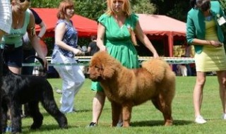 Успехи сыночка нашего Бао, Яла!