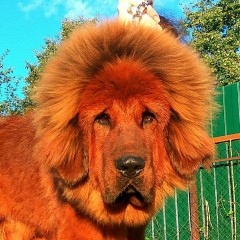 Фото взрослых выпускников