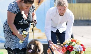 В последние выходные мая наши детки и выпускники отлично выступили на выставках в разных городах!