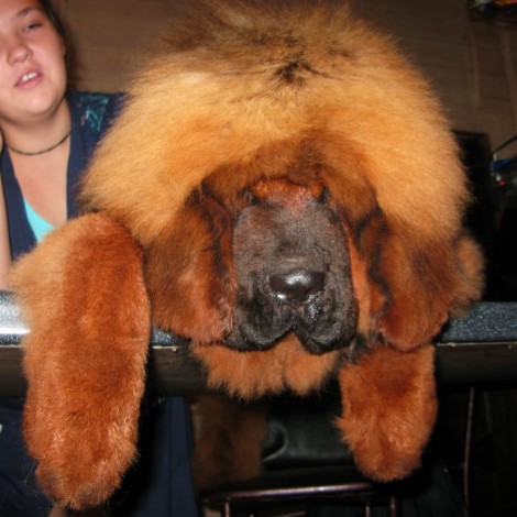 девочка экстремального китайского типа. 