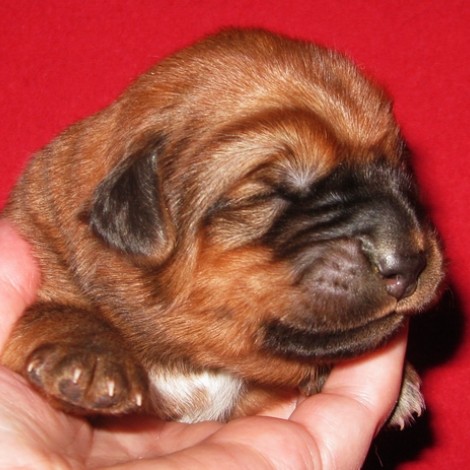 Мальчик2 от Мэй 