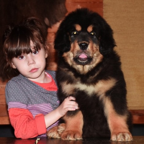 Девочка от Вари #3