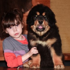 Девочка от Вари #3