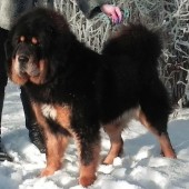 Замоскворечье Яромира