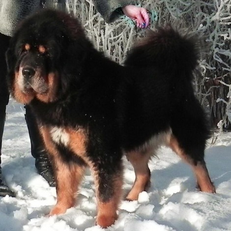 Замоскворечье Яромира